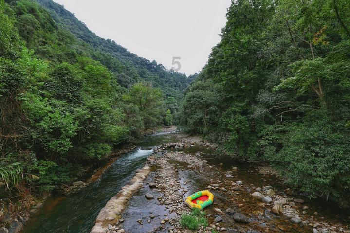 黑龙江省公布药师合格名单公示游戏画面